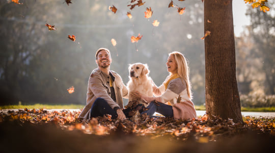 Smiling young couple and golden retriever dog sitting under tree with autumn leaves falling around them
