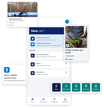 example screens for blua