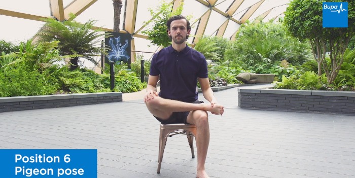 Seated Yoga: 16 Chair Yoga Poses For Beginners