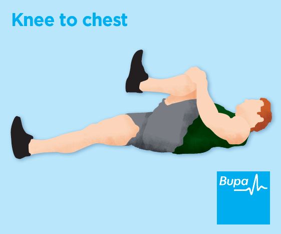 Chest Stretch  Illustrated Exercise Guide