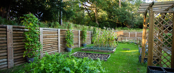 Garden area